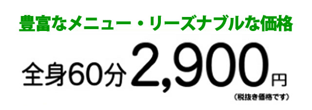 全身60分2,900円(税抜き価格です)